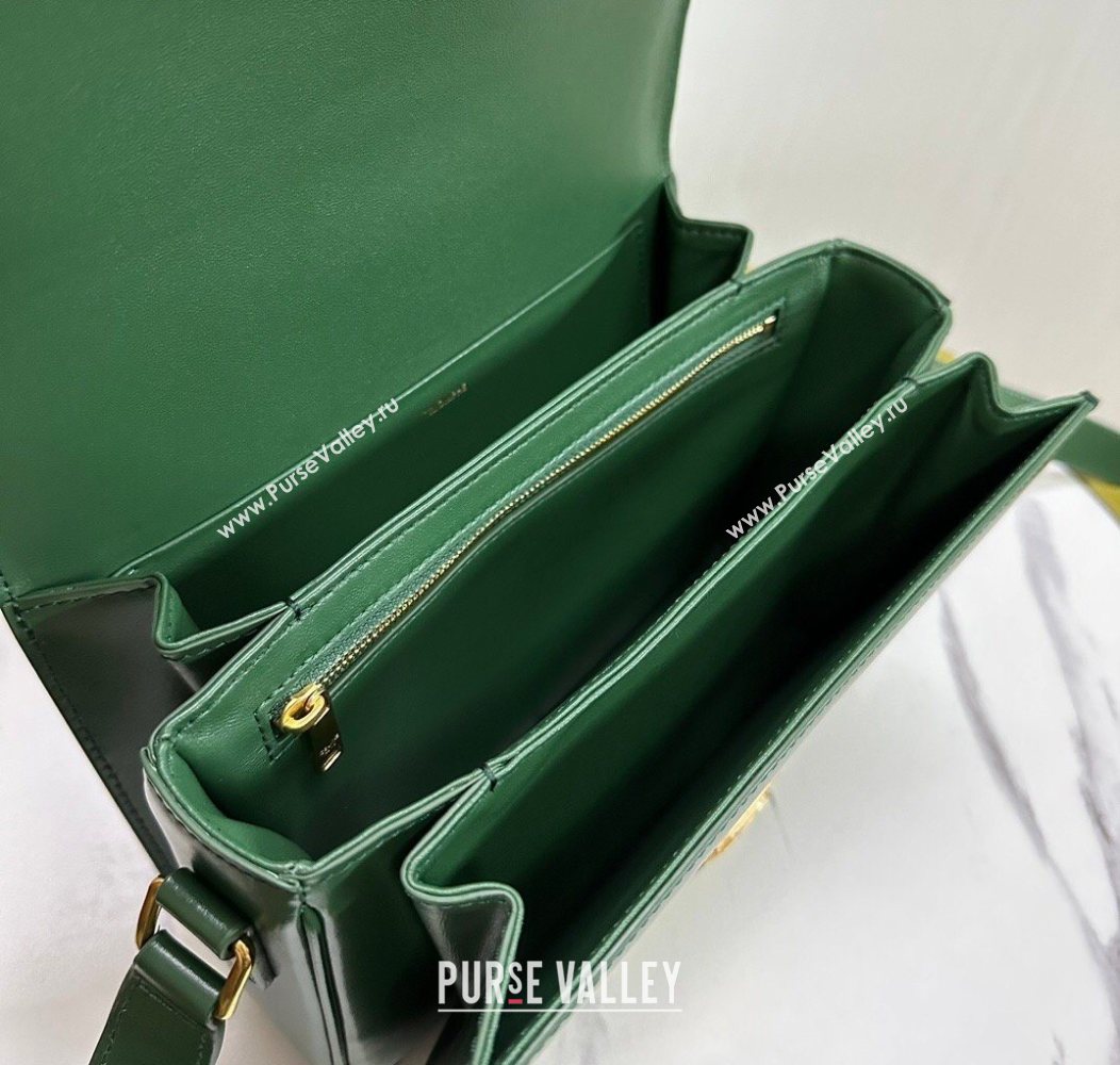Celine Classique Triomphe Bag in Shiny Calfskin Leather 187366 Amazon Green 2026 (BL-260121047)
