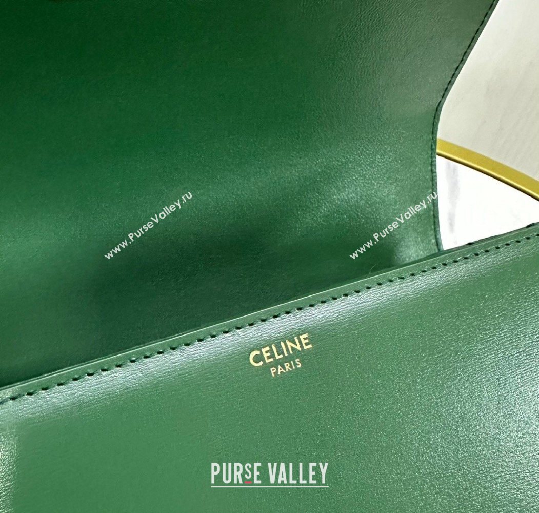 Celine Classique Triomphe Bag in Shiny Calfskin Leather 187366 Amazon Green 2026 (BL-260121047)