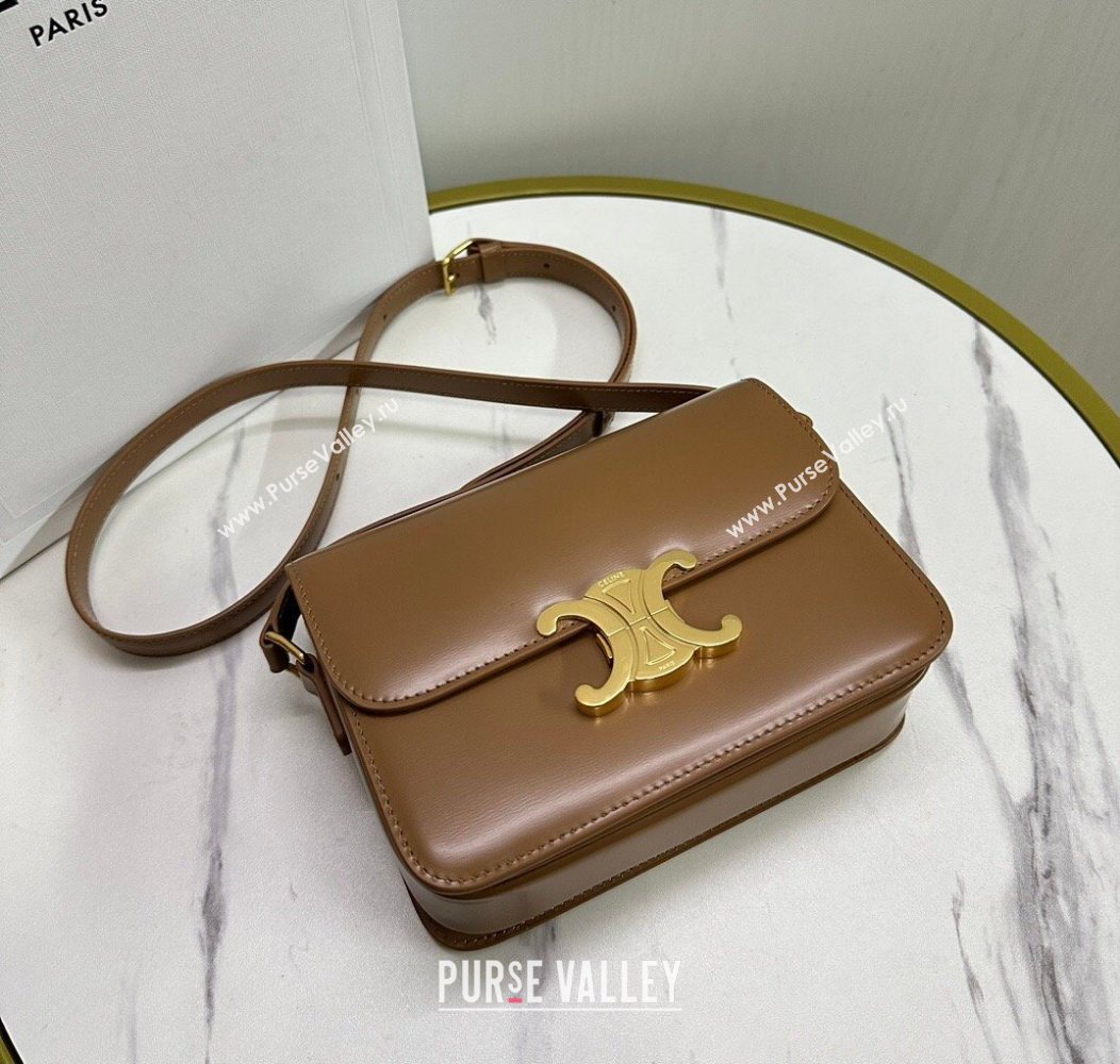 Celine Teen Triomphe Mini Bag in Shiny Calfskin Leather 188423 Bronze 2026 (BL-260121030)