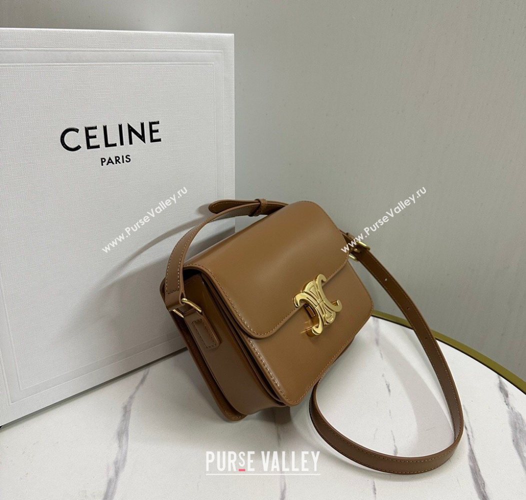 Celine Teen Triomphe Mini Bag in Shiny Calfskin Leather 188423 Bronze 2026 (BL-260121030)