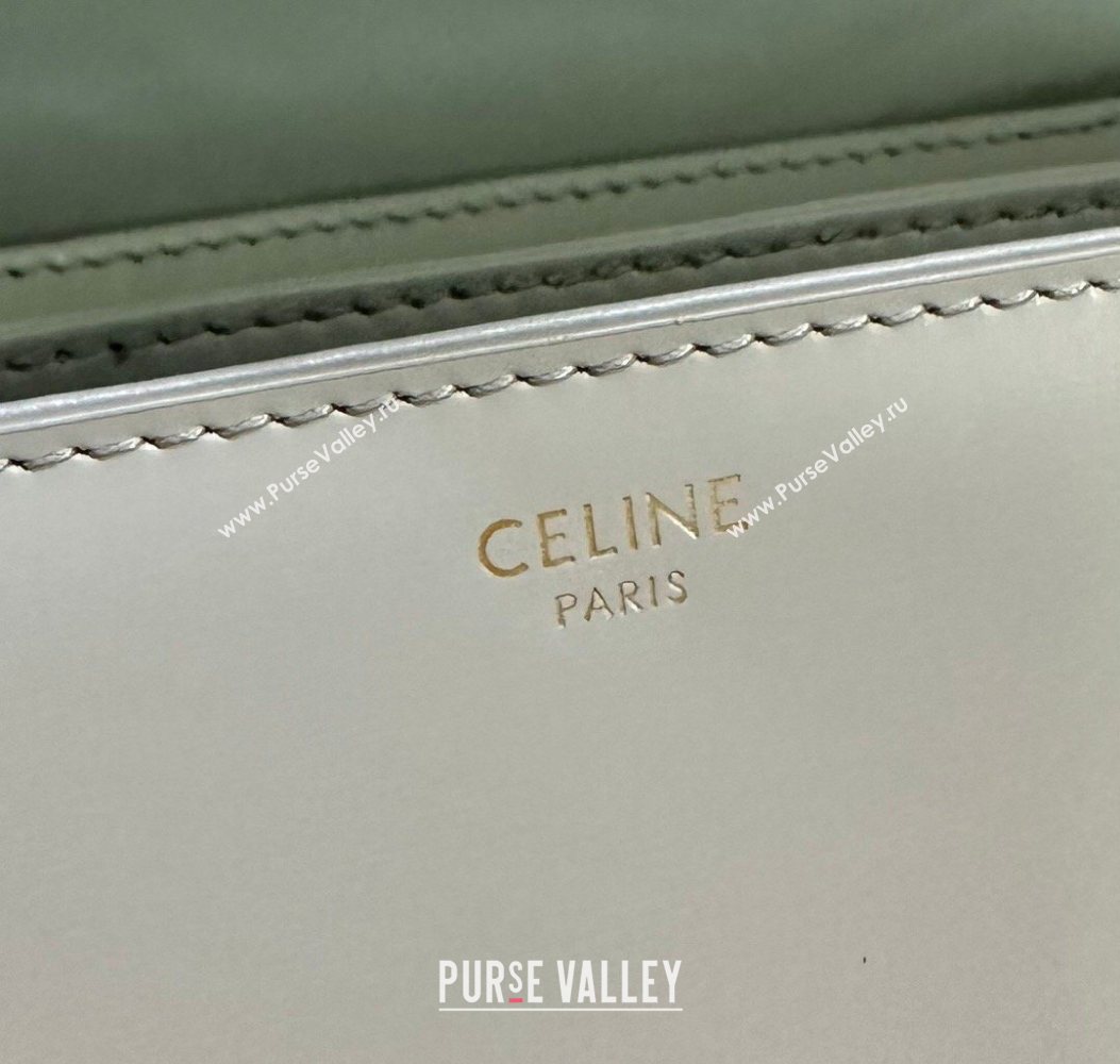 Celine Classique Triomphe Bag in Shiny Calfskin Leather 187366 Soft Blue 2026 (BL-260121050)
