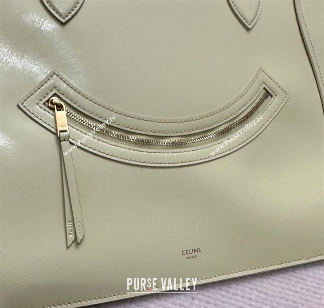 Celine Flat Cabas New Luggage Bag in Glossy Calfskin Leather Citrus Yellow 2026 123963 (BL-260121006)