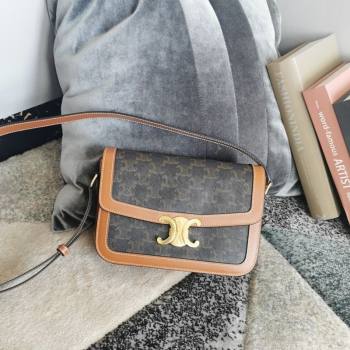 Celine Classique Triomphe Bag in Canvas and Calfskin Leather 187366 Brown 2026 (BL-260121052)