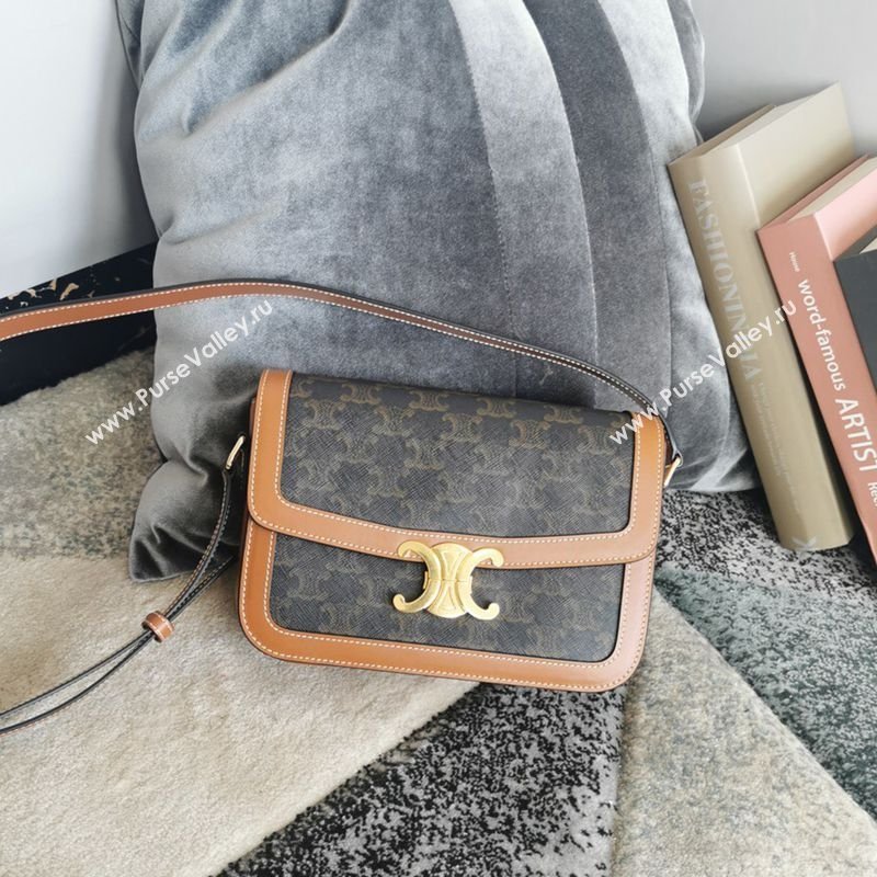 Celine Classique Triomphe Bag in Canvas and Calfskin Leather 187366 Brown 2026 (BL-260121052)