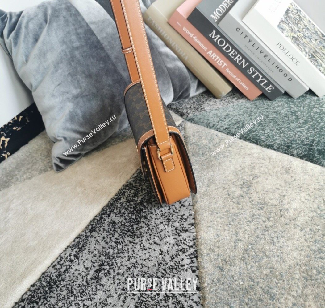 Celine Classique Triomphe Bag in Canvas and Calfskin Leather 187366 Brown 2026 (BL-260121052)