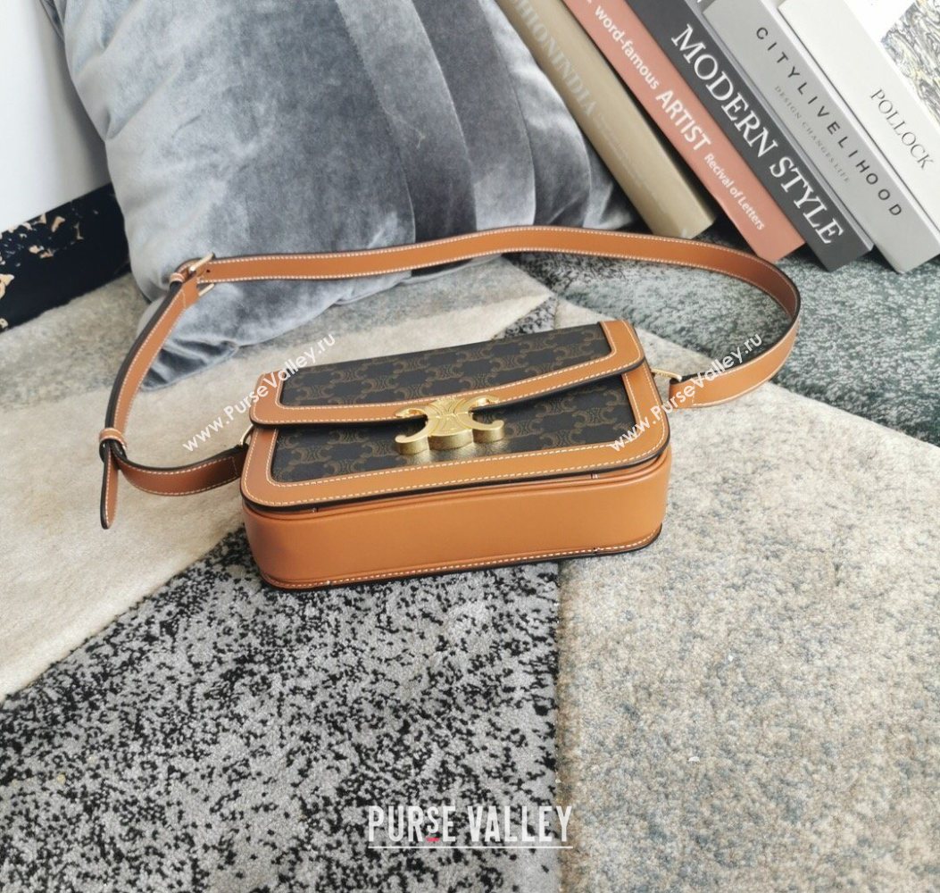 Celine Classique Triomphe Bag in Canvas and Calfskin Leather 187366 Brown 2026 (BL-260121052)