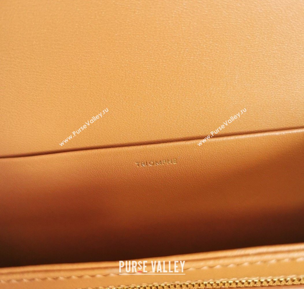 Celine Classique Triomphe Bag in Canvas and Calfskin Leather 187366 Brown 2026 (BL-260121052)