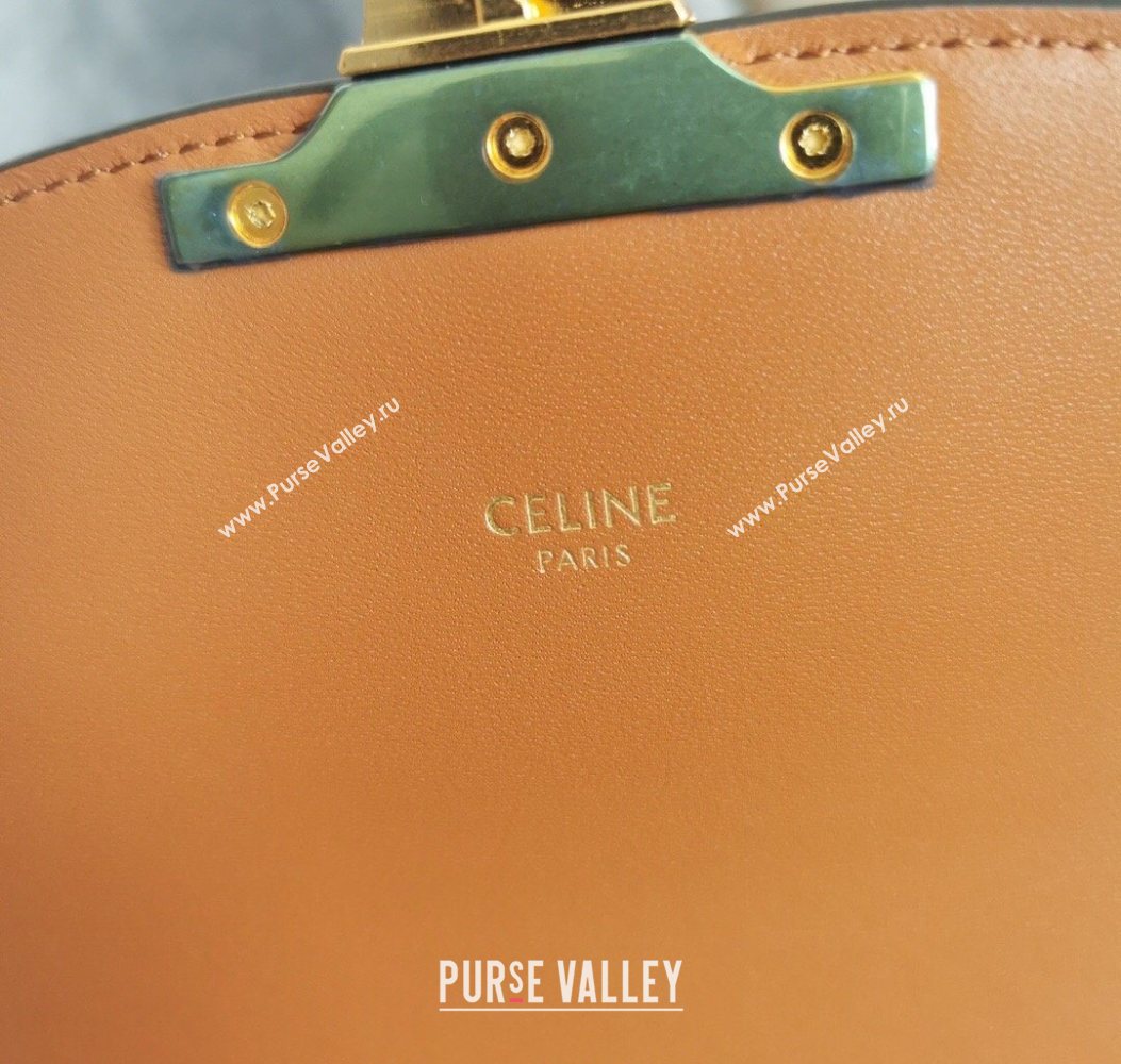 Celine Classique Triomphe Bag in Canvas and Calfskin Leather 187366 Brown 2026 (BL-260121052)