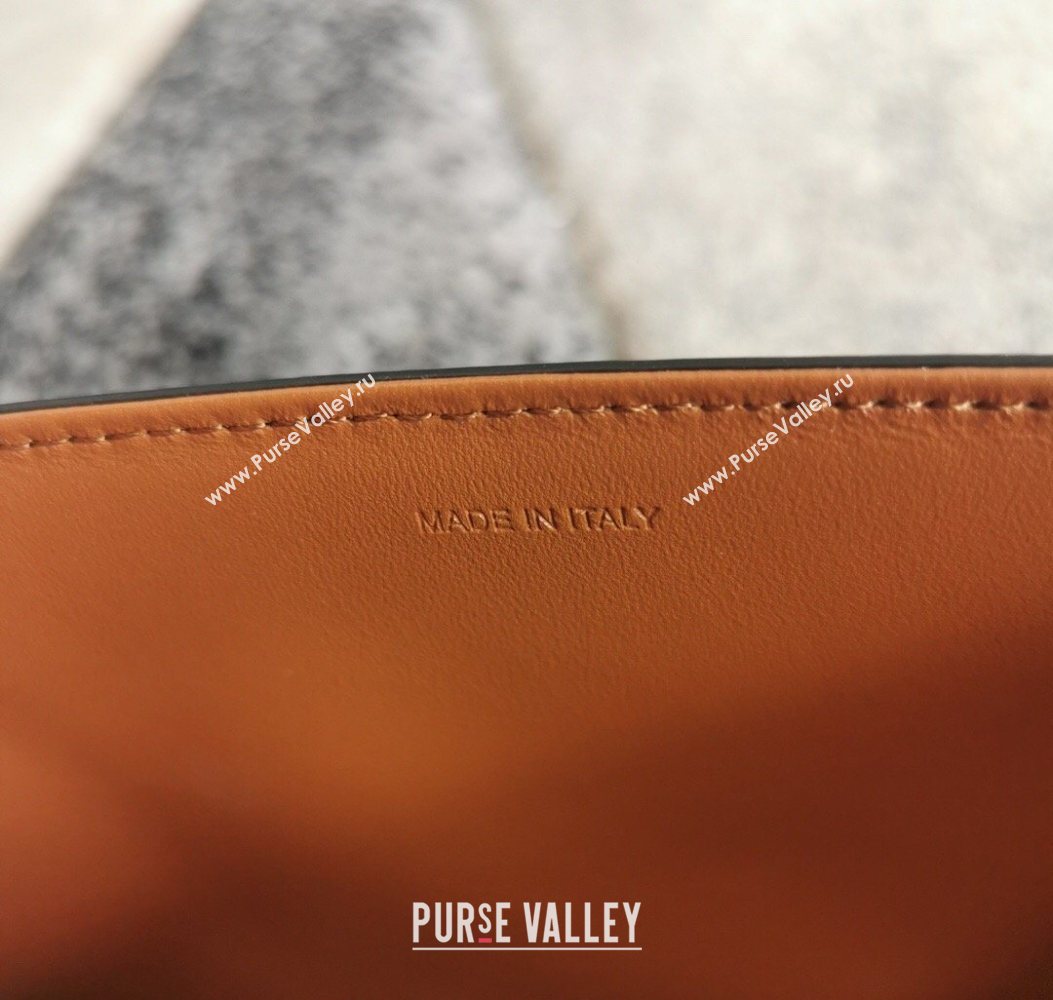 Celine Classique Triomphe Bag in Canvas and Calfskin Leather 187366 Brown 2026 (BL-260121052)