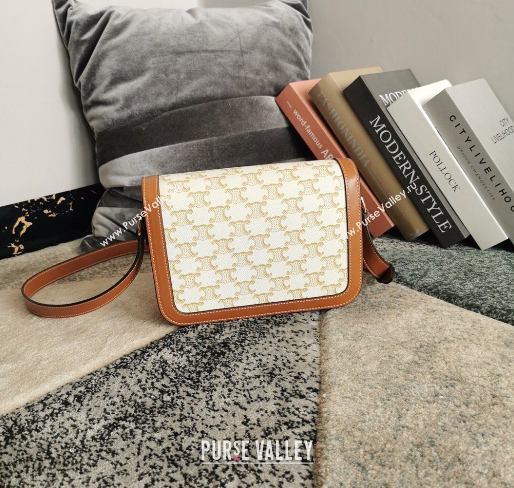 Celine Classique Triomphe Bag in Canvas and Calfskin Leather 187366 White 2026 (BL-260121053)