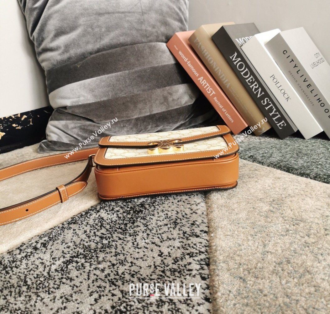 Celine Classique Triomphe Bag in Canvas and Calfskin Leather 187366 White 2026 (BL-260121053)