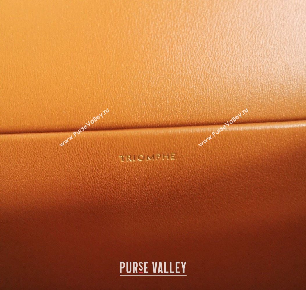 Celine Classique Triomphe Bag in Canvas and Calfskin Leather 187366 White 2026 (BL-260121053)