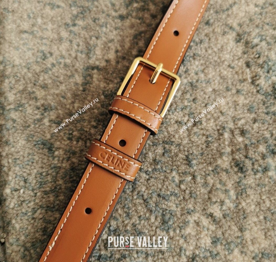 Celine Classique Triomphe Bag in Canvas and Calfskin Leather 187366 White 2026 (BL-260121053)