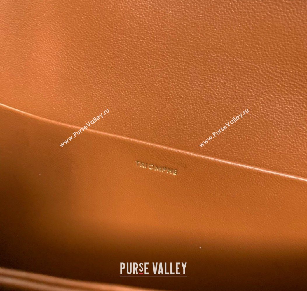 Celine Classique Triomphe Bag in Linen Canvas and Calfskin Leather 187366 Beige 2026 (BL-260121054)