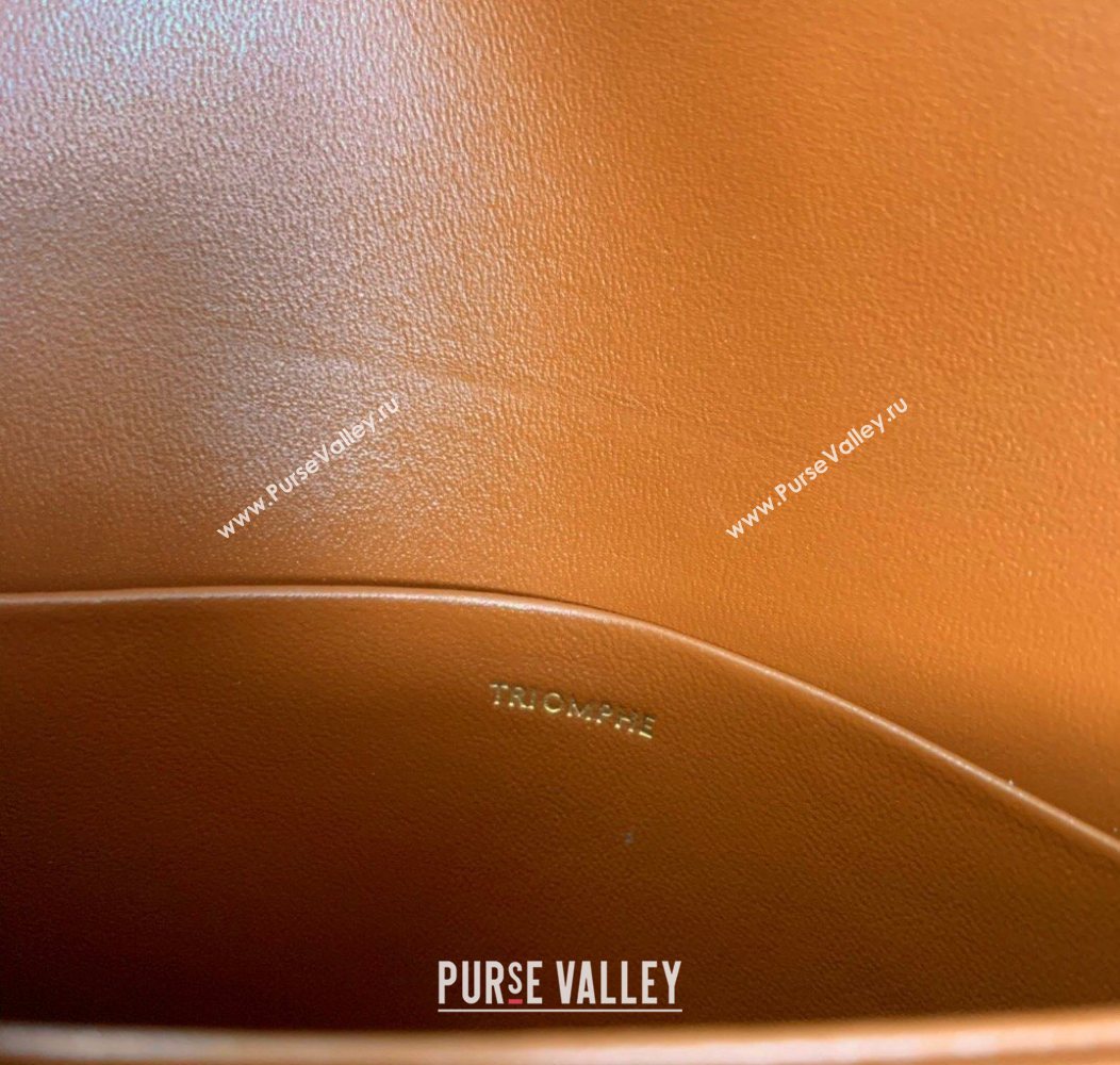 Celine Teen Triomphe Mini Bag in Linen Canvas and Calfskin Leather 188423 Beige 2026 (BL-260121034)