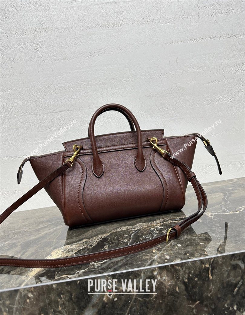 Celine Small New Luggage in Supple Shiny Lambskin 124213 Burgundy 2025 (BL-260121059)