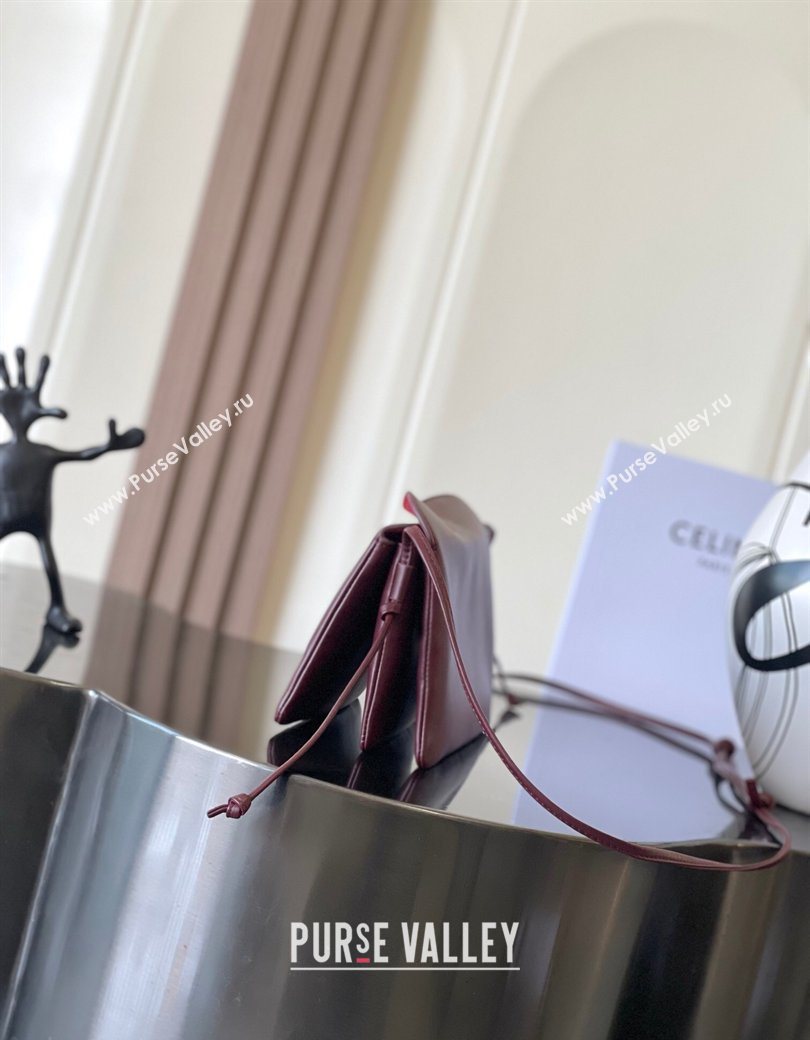 Celine Trio Flap Bag in Smooth Lambskin Leather Burgundy 2026 10P862 (BL-260121002)