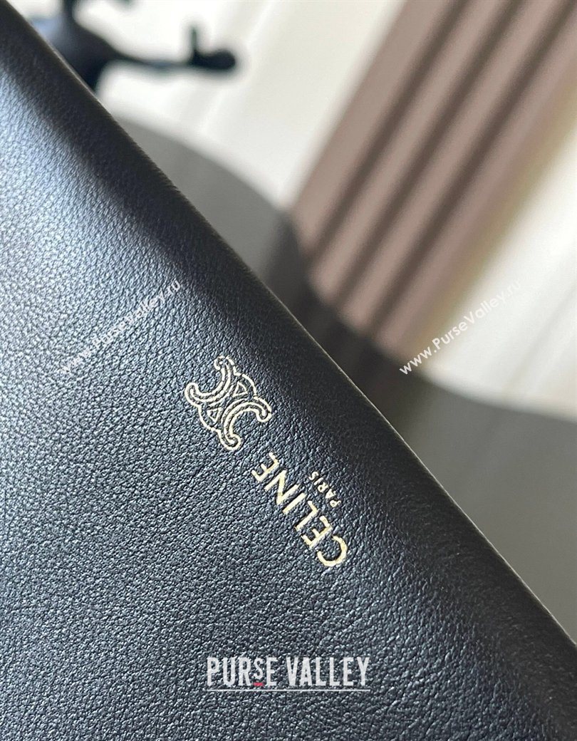 Celine Trio Flap Bag in Smooth Lambskin Leather Black 2026 10P862 (BL-260121003)