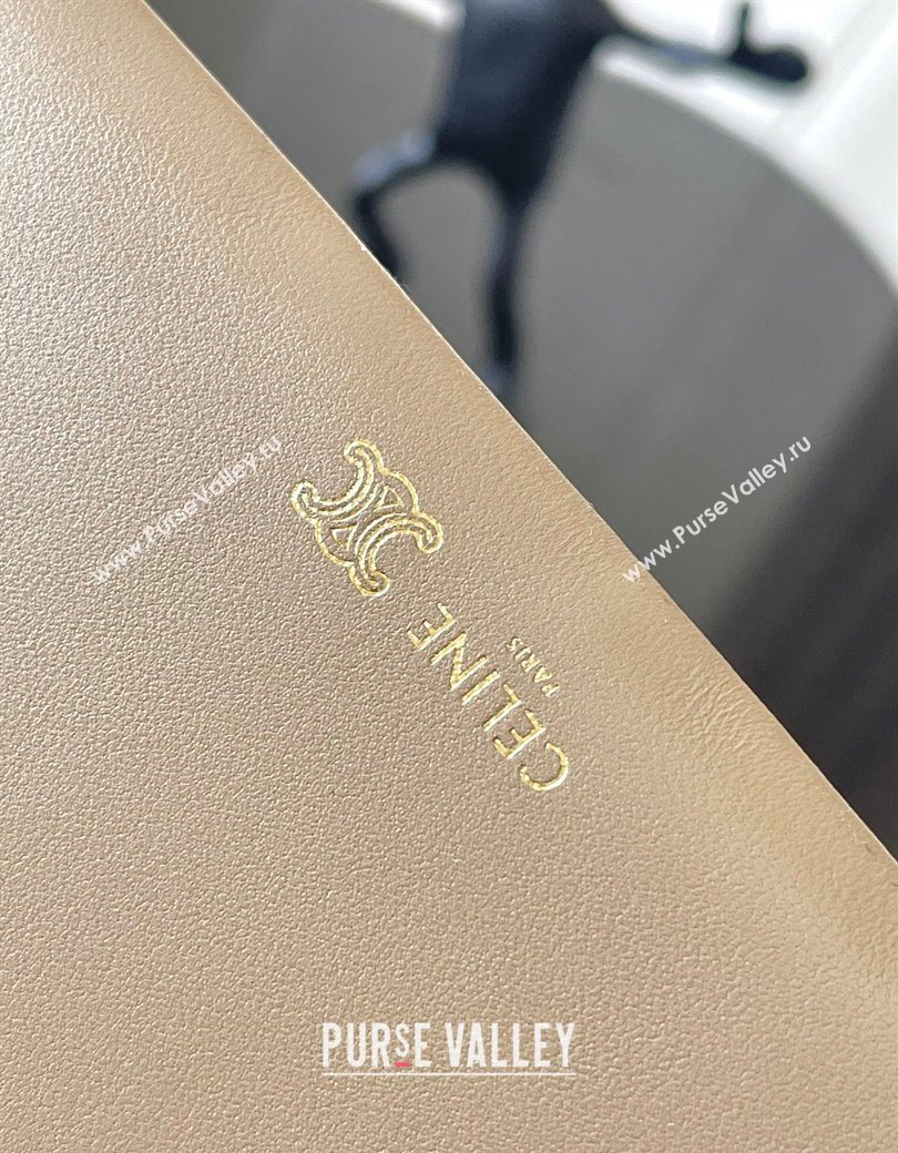 Celine Trio Flap Bag in Smooth Lambskin Leather Safari Beige 2026 10P862 (BL-260121004)