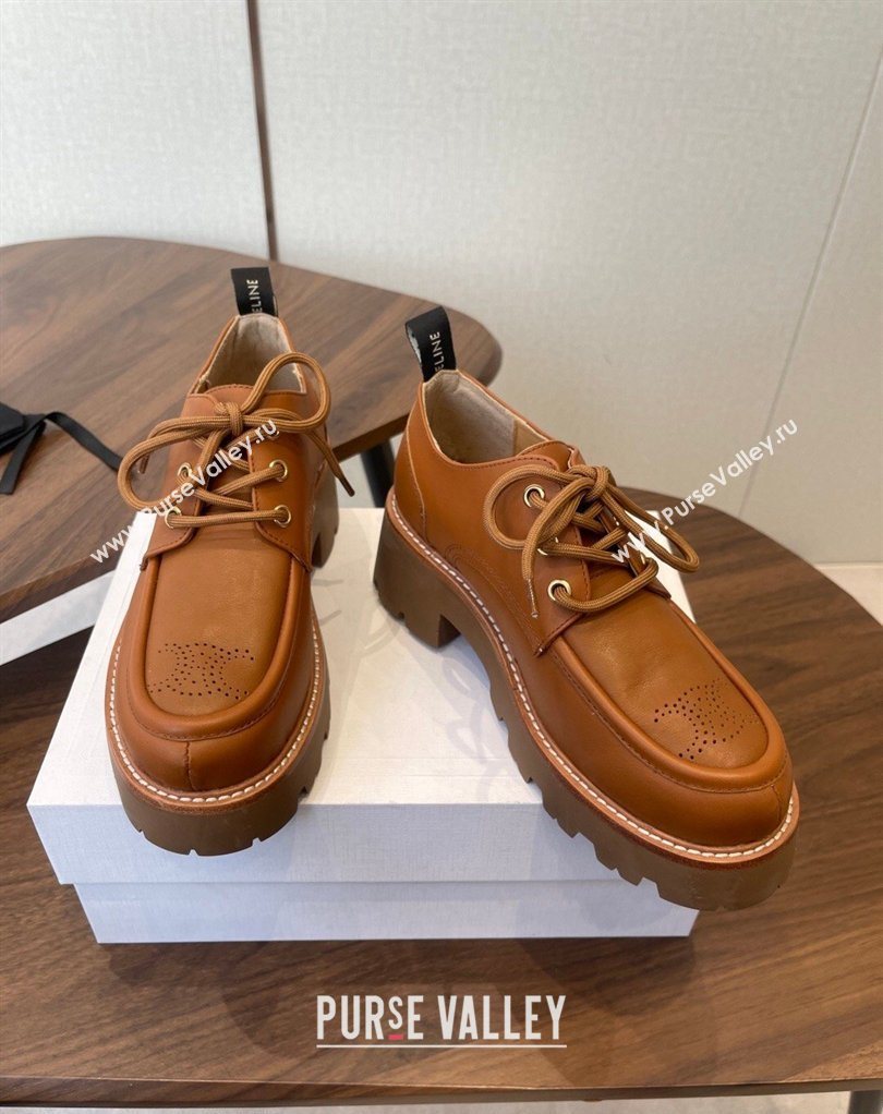 Celine Triomphe Derbies Shoes Lace-ups 3cm in Calfskin Leather Brown 2026 0227 (KL-260227056)