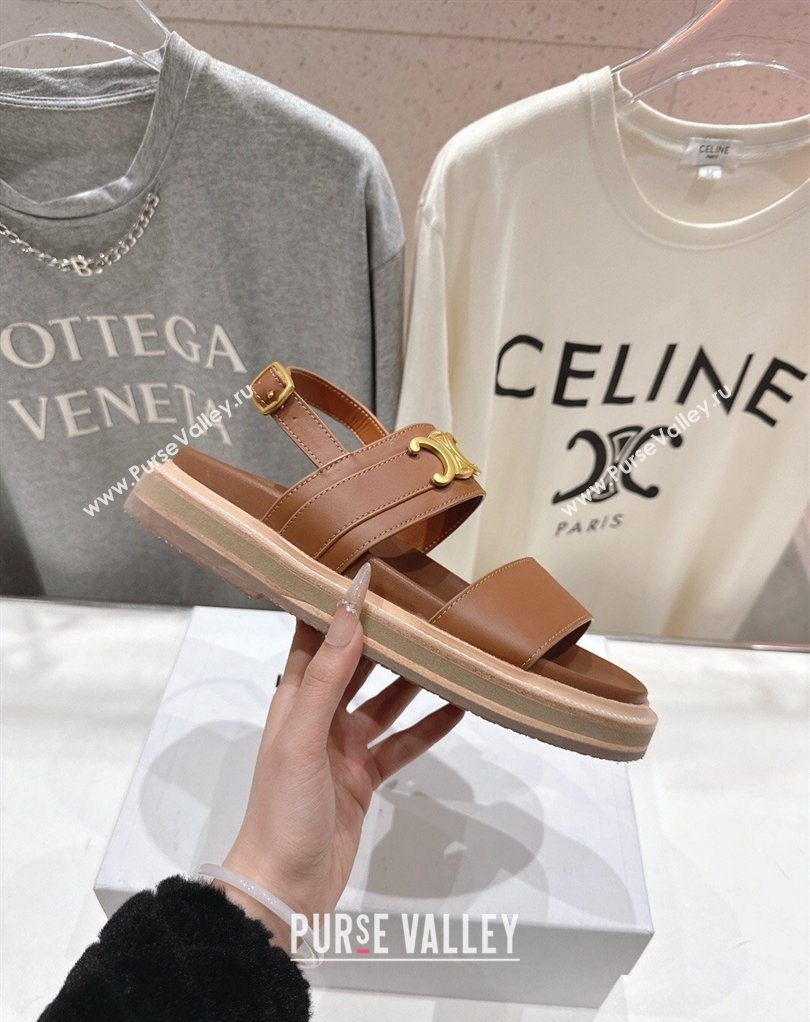 Celine Tippi Triomphe Flat Sandals in Calfskin Leather Brown 2026 022702 (MD-260227033)