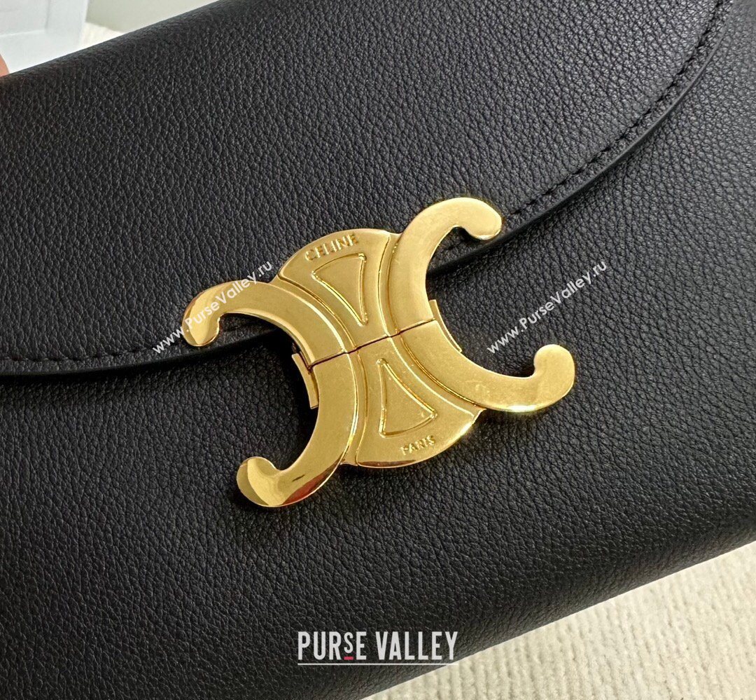 Celine Teen Nino Bag in Grained Supple Calfskin Black 2026 118113 (BL-260411018)