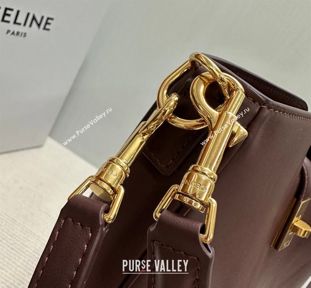 Celine Medium Camille16 Soft Bag in Smooth Calfskin Dark Burgundy 2025 119563 (BL-260411023)