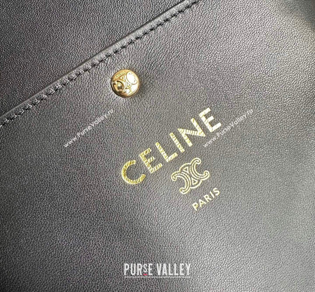Celine Sharp Pouch Bag in Smooth Lambskin Leather Black 2026 10P812 (BL-260411026)