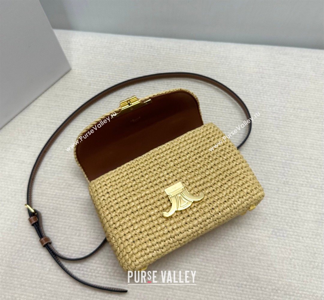 Celine Teen Nino Bag in Raffia Straw and Calfskin 2026 118112 (BL-260411044)