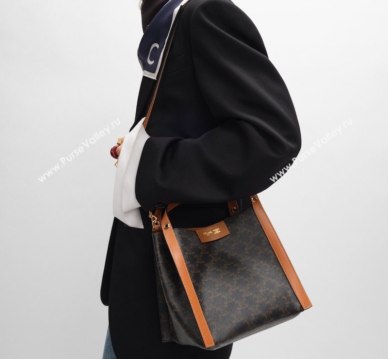 Celine Small Cube Tote bag in Triomphe Canvas and Calfskin Brown 2026 124182 (BL-260411050)