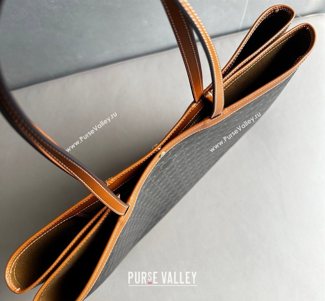 Celine Big Flat Shopper Bag in Triomphe Canvas and Calfskin 2026 123842 (BL-260411053)