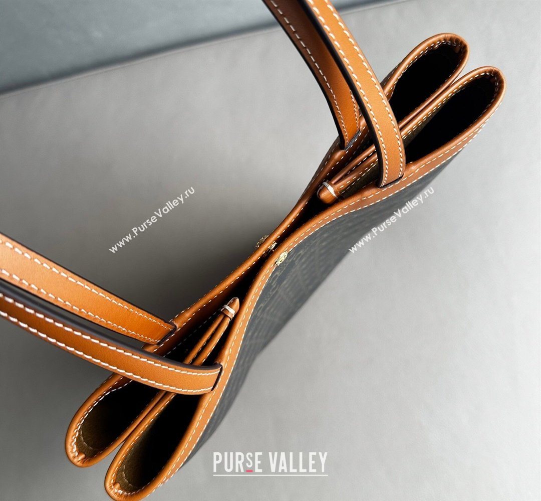 Celine Medium Flat Shopper Bag in Triomphe Canvas and Calfskin 2026 123832 (BL-260411054)