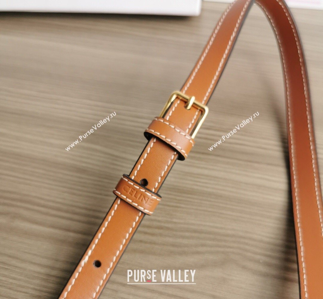 Celine Folco Mini Bag in Triomphe Canvas Brown 2026 191502 (BL-260411055)