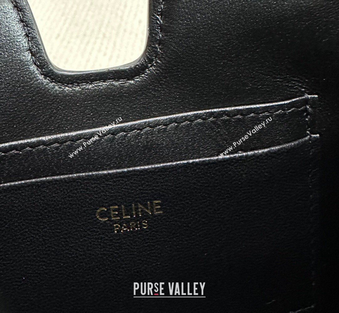 Celine 16 Mini Bag in Calfskin Leather Black 2026 100443 (BL-260411058)