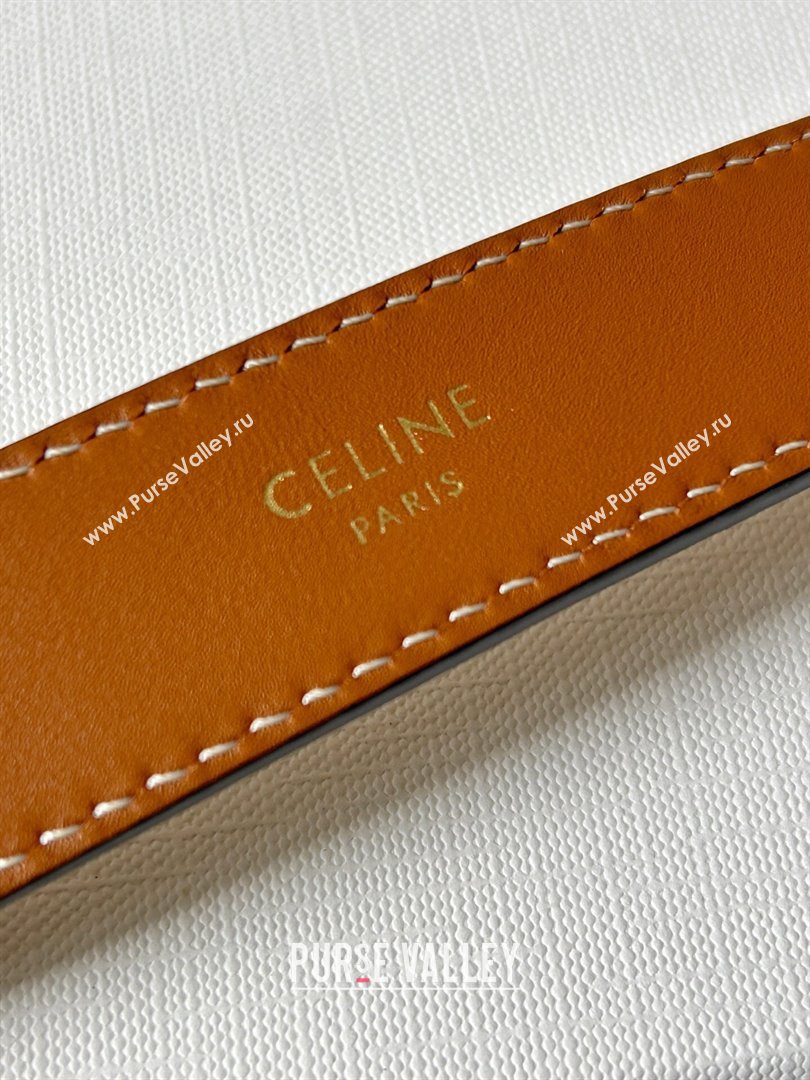 Celine Triomphe Canvas Belt 2.5cm with Leather Buckle Beige 2025 0317 (99-250317004)