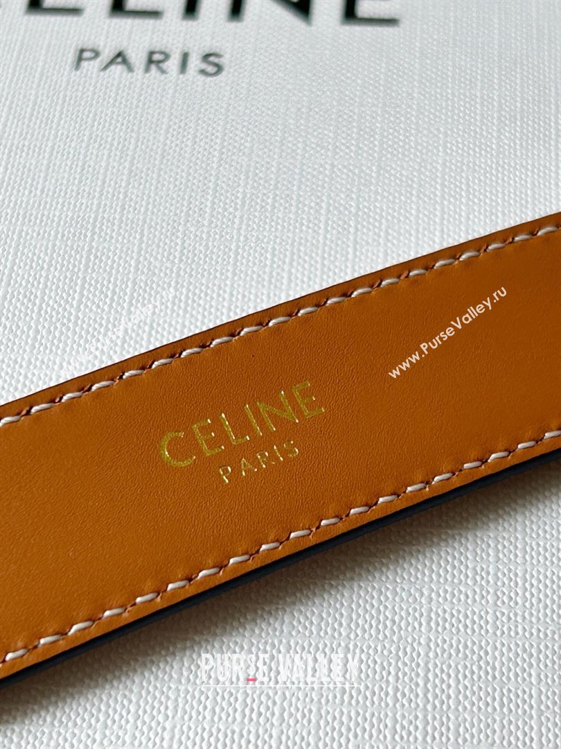 Celine Calfskin Triomphe Belt 2.4cm with Leather Buckle Brown 2025 0317 (99-250317001)