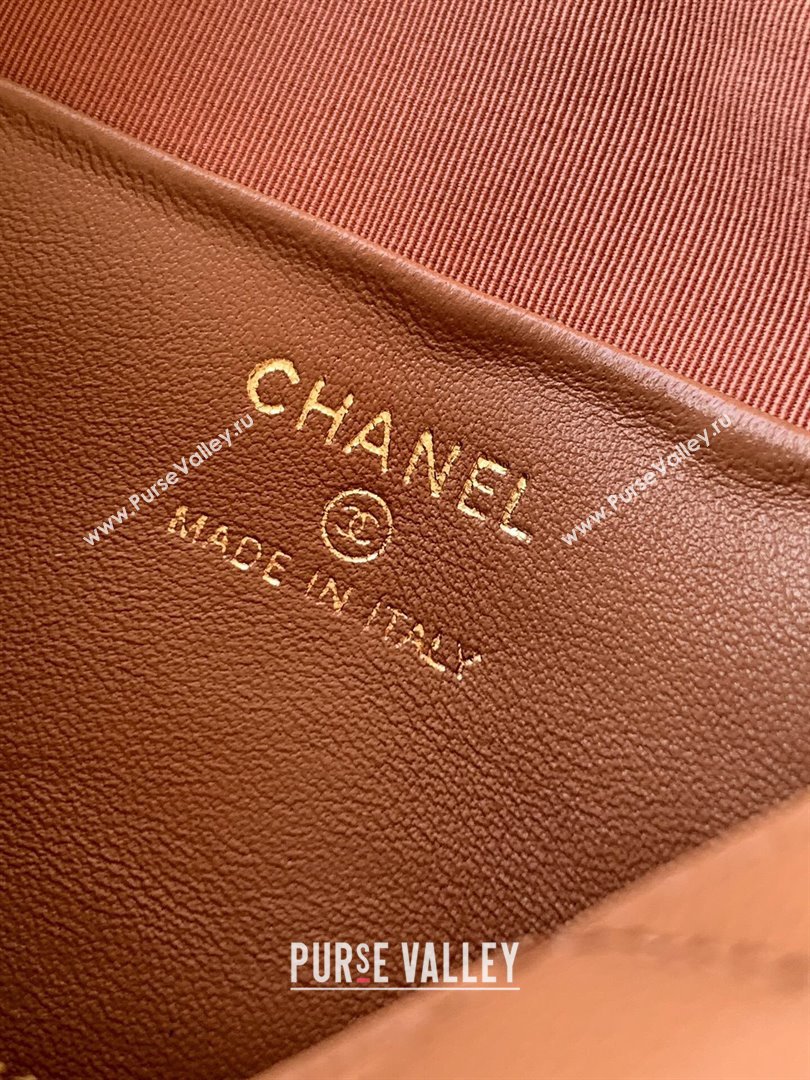 Chanel Grained Calfskin Hobo Bag Clay Brown 2025 CH081101 (yezi-2508110093)