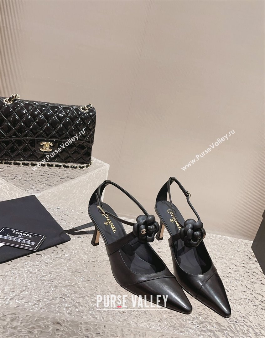 Chanel Lambskin Pumps 7.5cm with Camellia Bloom Black 2023 CH091106 (MD-23091120)