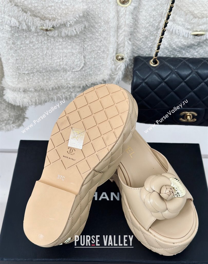 Chanel Camellia Bloom Calfskin Wedge Platform Slide Sandals 7.5cm Beige 2024 0224 (MD-240224002)