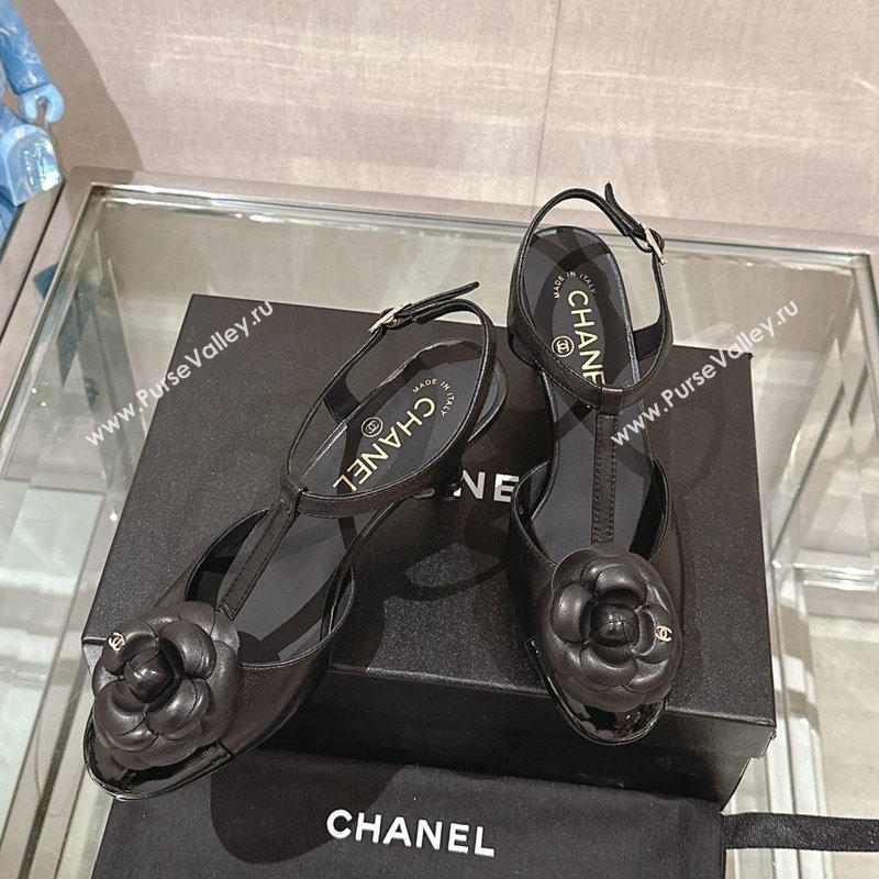 Chanel Camellia Bloom Lambskin Open Pumps 7cm Black 2024 0224 (MD-240224019)