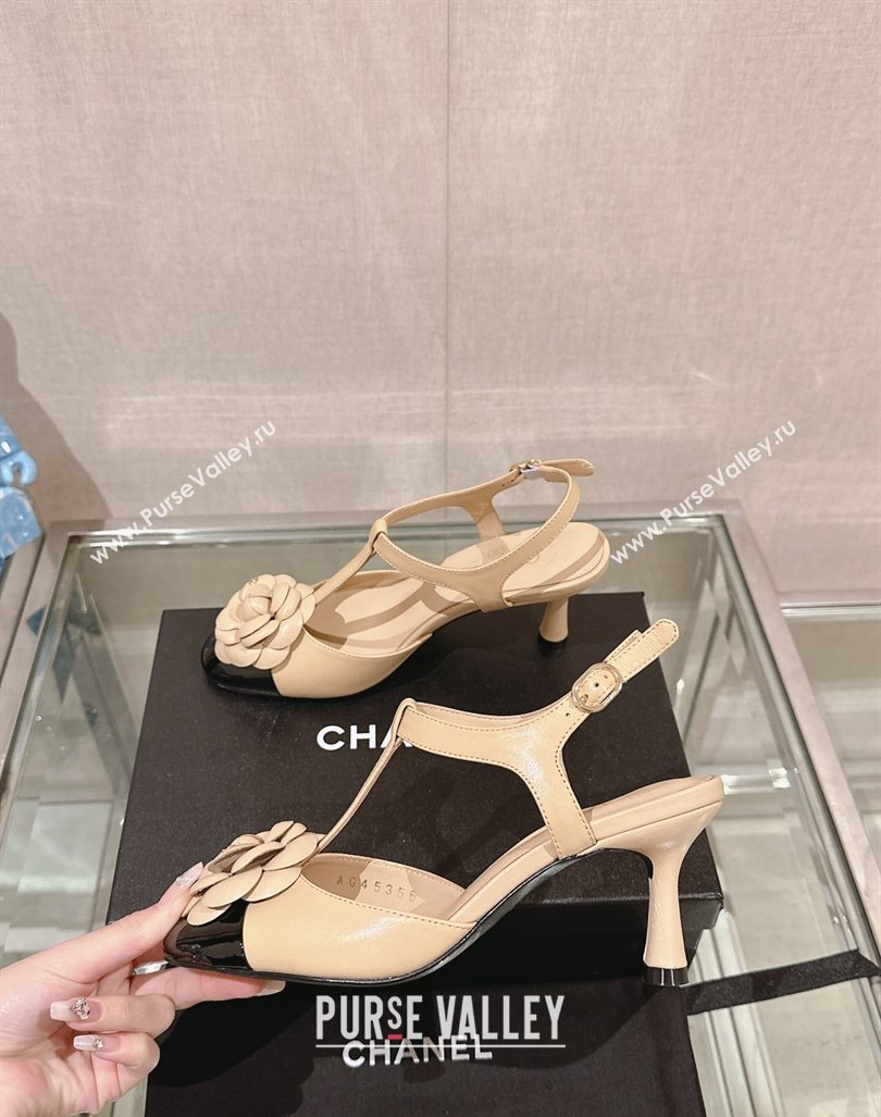 Chanel Camellia Bloom Lambskin Open Pumps 7cm Beige 2024 0224 (MD-240224020)