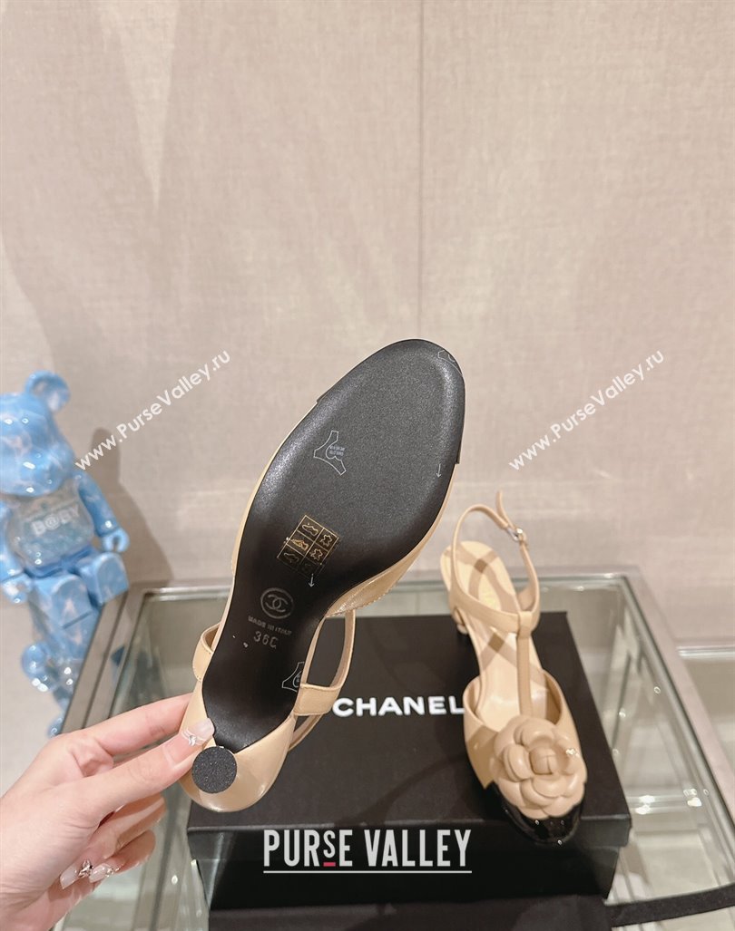 Chanel Camellia Bloom Lambskin Open Pumps 7cm Beige 2024 0224 (MD-240224020)