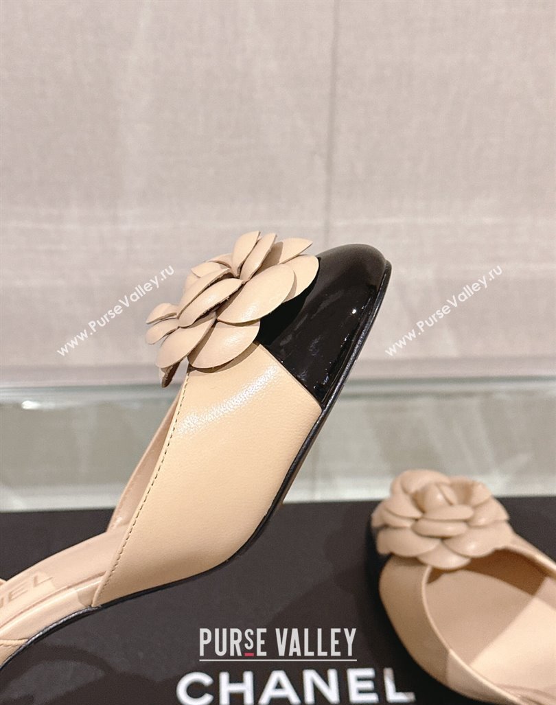 Chanel Camellia Bloom Lambskin Pumps 7cm with Ankle Strap Beige 2024 0224 (MD-240224023)