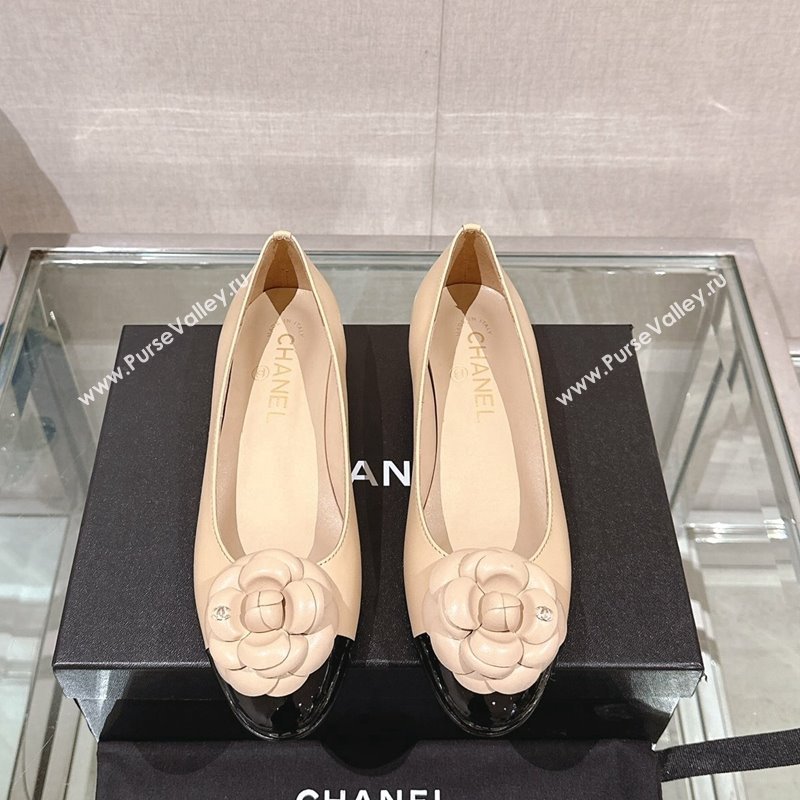 Chanel Camellia Bloom Lambskin Flat Ballet 1cm Beige 2024 0224 (MD-240224026)