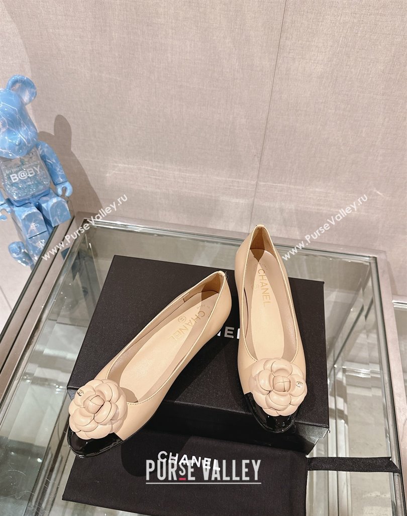 Chanel Camellia Bloom Lambskin Flat Ballet 1cm Beige 2024 0224 (MD-240224026)