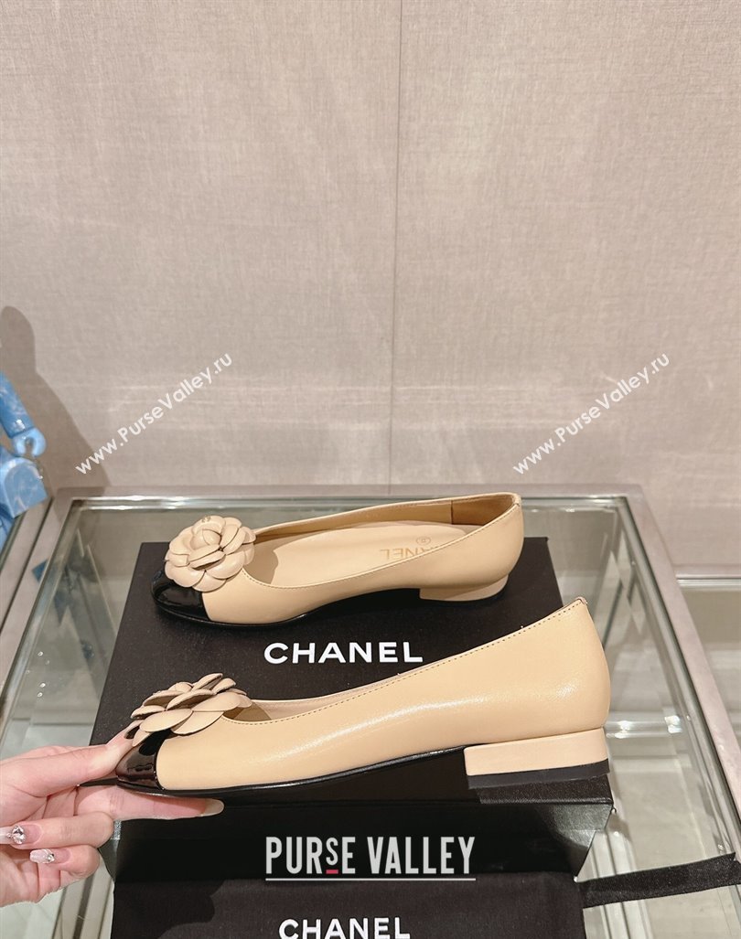 Chanel Camellia Bloom Lambskin Flat Ballet 1cm Beige 2024 0224 (MD-240224026)