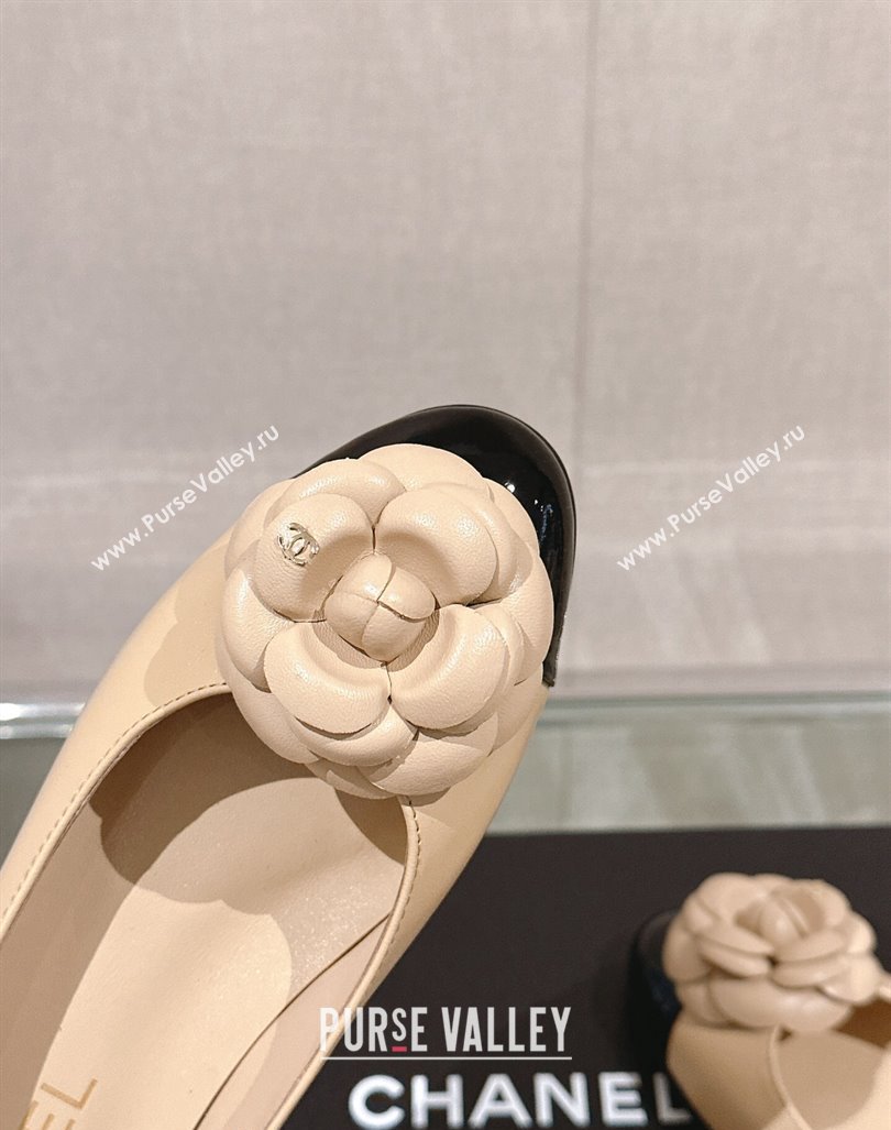 Chanel Camellia Bloom Lambskin Flat Ballet 1cm Beige 2024 0224 (MD-240224026)