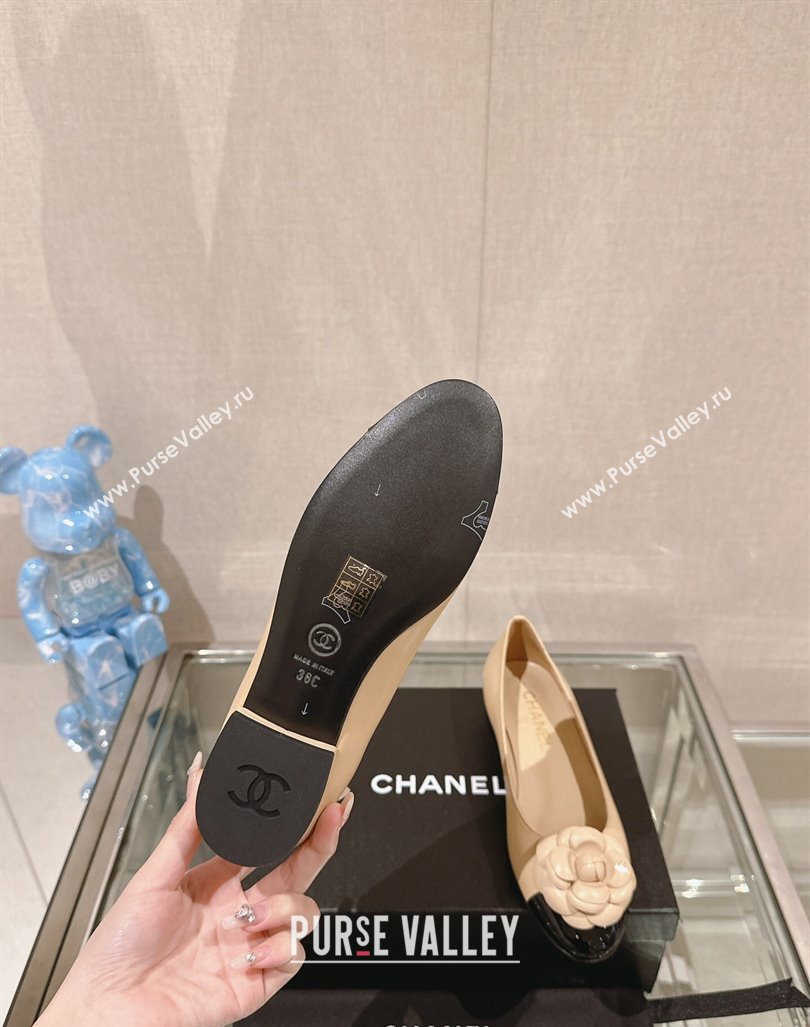 Chanel Camellia Bloom Lambskin Flat Ballet 1cm Beige 2024 0224 (MD-240224026)