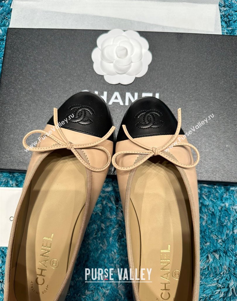 Chanel Classic Calfskin Leather Ballet Flat Beige/Black 2024 0325 (SS-240325029)