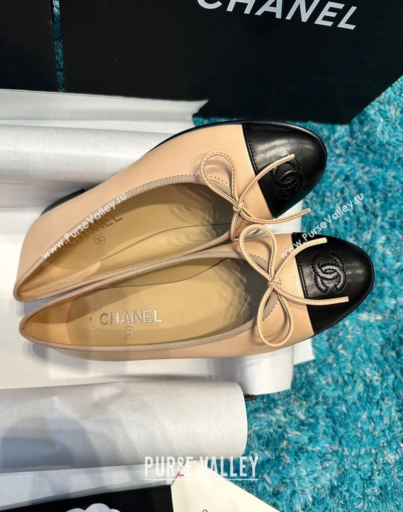 Chanel Classic Calfskin Leather Ballet Flat Beige/Black 2024 0325 (SS-240325029)